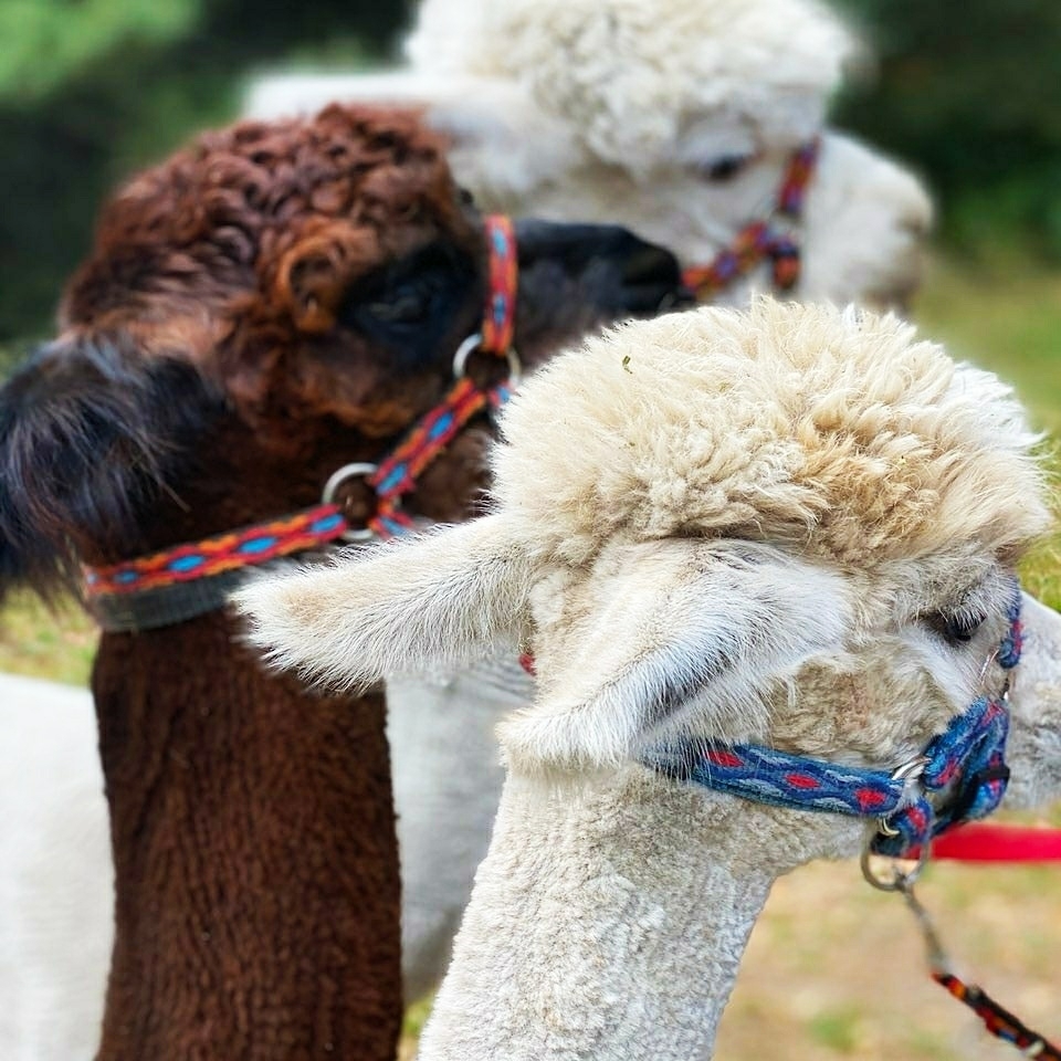 SAVE_20230812_241127