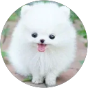 reserch profile picture