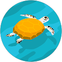 Daniel Wolski profile picture